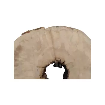 Plaster Jawora 80x72x10cm