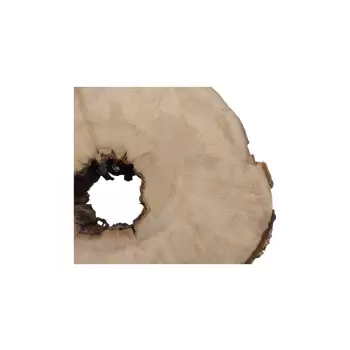 Plaster Jawora 80x72x10cm