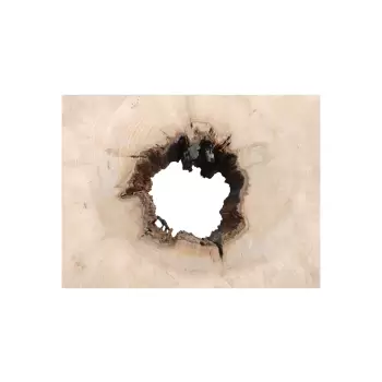 Plaster Jawora 80x72x10cm