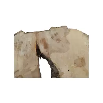 Plaster Jawora 85x53x9cm
