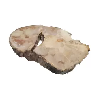 Plaster Jawora 83x52x9cm