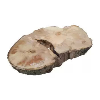 Plaster Jawora 83x52x9cm