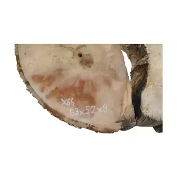 Plaster Jawora 83x52x9cm