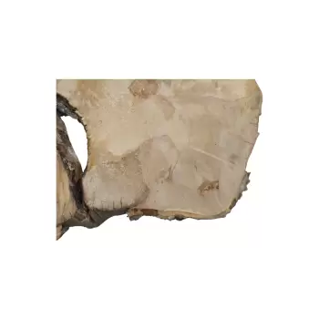 Plaster Jawora 83x52x9cm
