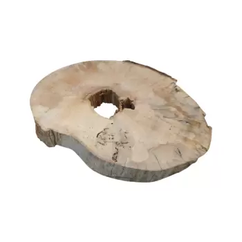 Plaster Jawora 71x52x8cm