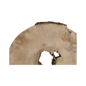 Plaster Jawora 71x52x8cm