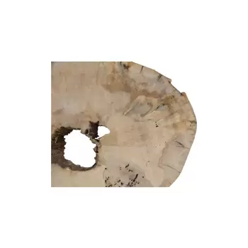 Plaster Jawora 71x52x8cm