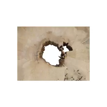 Plaster Jawora 71x52x8cm