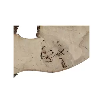 Plaster Jawora 71x52x8cm