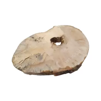 Plaster Jawora 76x50x8cm