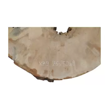 Plaster Jawora 76x50x8cm