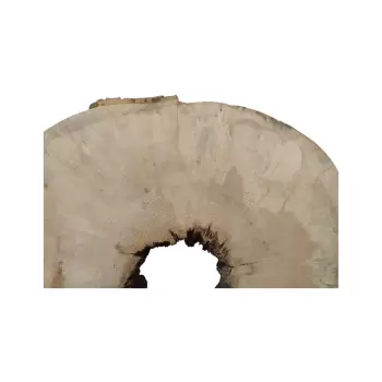 Plaster Jawora 81x70x10cm