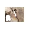 Plaster Jawora 85x76x10cm
