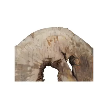 Plaster Jawora 85x76x10cm