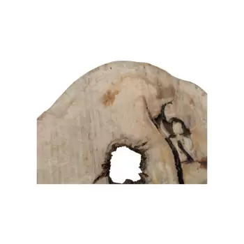 Plaster Jawora 85x74x10cm