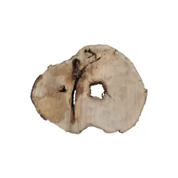 Plaster Jawora 95x75x10cm