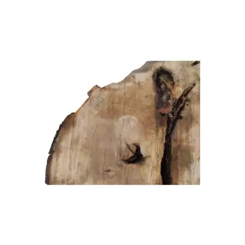 Plaster Jawora 95x75x10cm