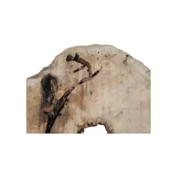 Plaster Jawora 95x75x10cm