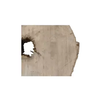Plaster Jawora 95x75x10cm