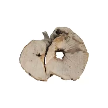 Plaster Jawora 95x78x10cm