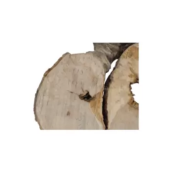 Plaster Jawora 95x78x10cm