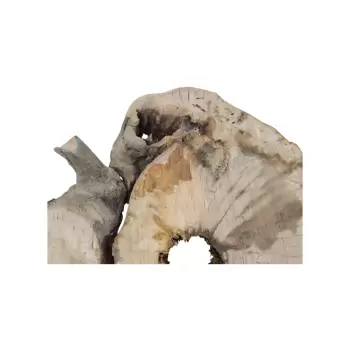 Plaster Jawora 95x78x10cm