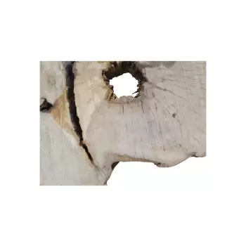 Plaster Jawora 95x78x10cm