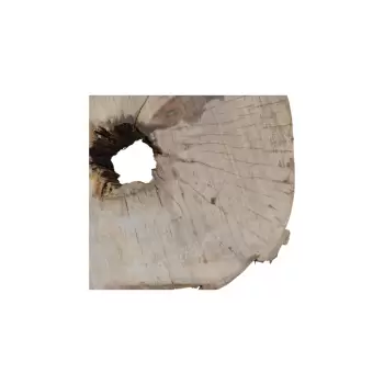 Plaster Jawora 95x78x10cm