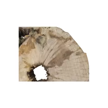 Plaster Jawora 95x78x10cm