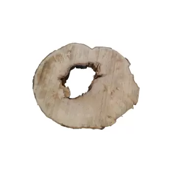 Plaster Jawora 96x79x9cm