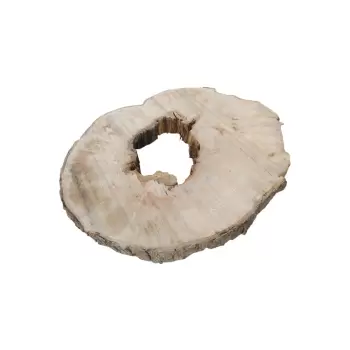 Plaster Jawora 96x79x9cm