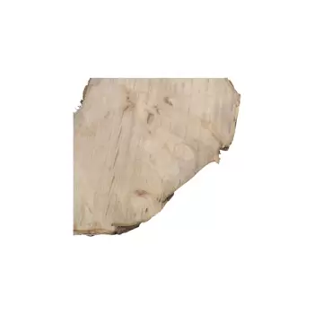 Plaster Jawora 96x79x9cm