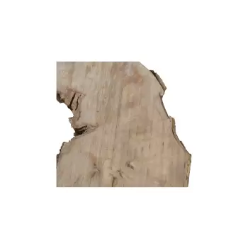 Plaster Jawora 96x79x9cm