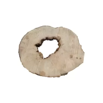 Plaster Jawora 95x75x9cm