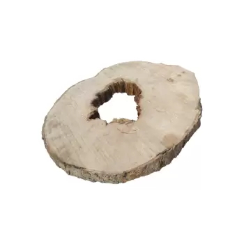 Plaster Jawora 95x75x9cm