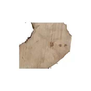 Plaster Jawora 95x75x9cm