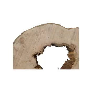 Plaster Jawora 95x75x9cm