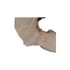 Plaster Jawora 89x76x9cm
