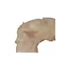 Plaster Jawora 89x76x9cm