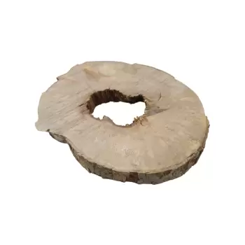 Plaster Jawora 89x76x9cm