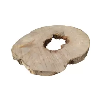 Plaster Jawora 89x76x9cm