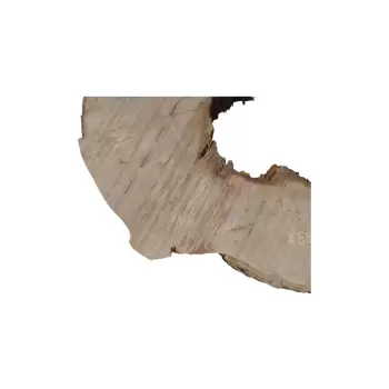 Plaster Jawora 89x76x9cm