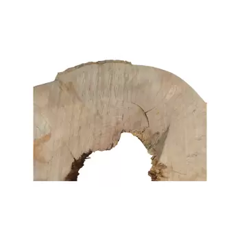 Plaster Jawora 89x76x9cm