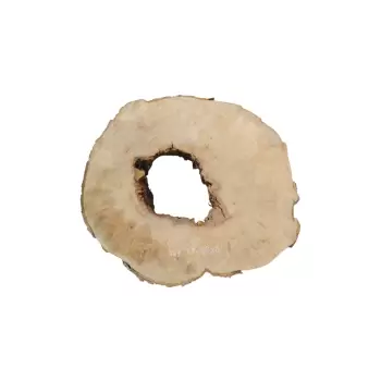 Plaster Jawora 87x80x8cm