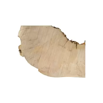 Plaster Jawora 88x80x7cm