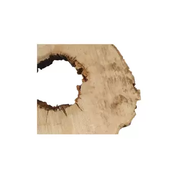 Plaster Jawora 88x80x7cm