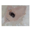 Plaster Gruszy 37x31x4cm
