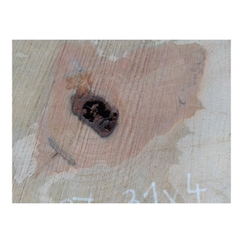 Plaster Gruszy 37x31x4cm