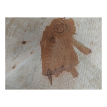 Plaster Gruszy 32x31x4cm