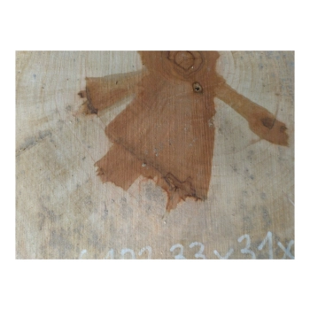 Plaster Gruszy 33x31x4cm